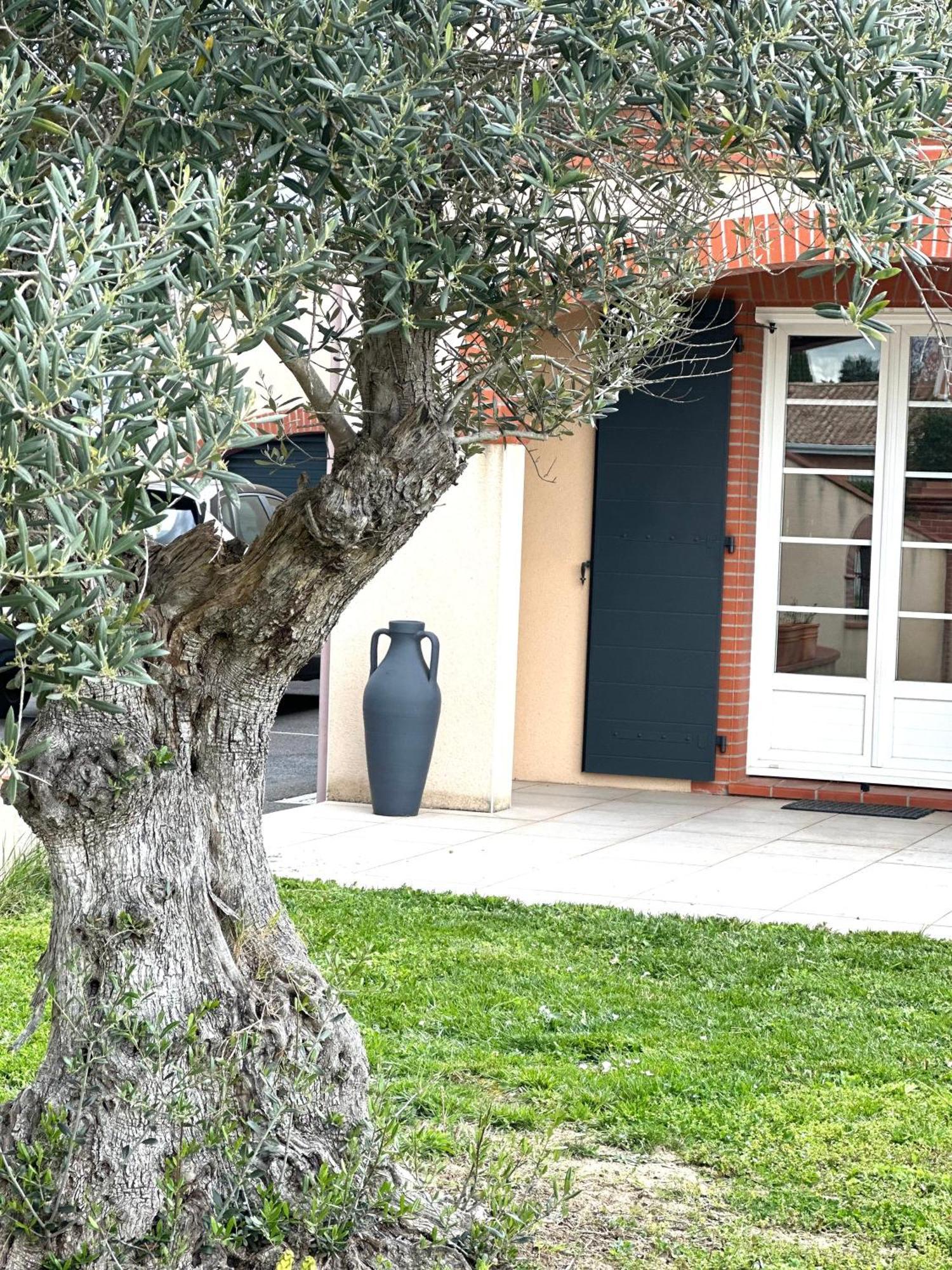 Maison D'Hotes Chic A Beauzelle Esterno foto